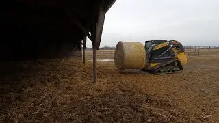 Cattle Chores in the Winter