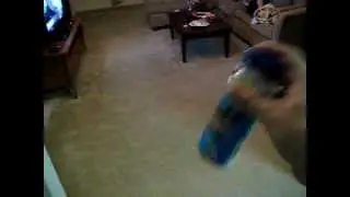 Balloon tied to cat's tail