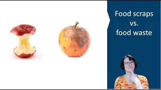 Waste Management and the Compost Cycle Part 2: Food life cycle