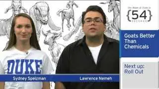 The Week at Duke {in 60 Seconds}: Goat Power; Bike-share; Faculty Books