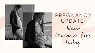 Pregnancy Update: 26 Weeks | Fawn Design DUPE & New Items For Baby
