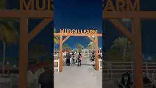 Best place to visit and chill in weekends in kuwait 🇰🇼 #kuwait #reels #shorts #trending #viral