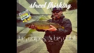 Street fishing! big carpe et big chub au mais artificiel, leurre et pain en UL!