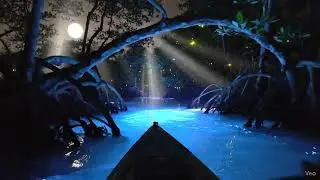 Kayak Through the Void | POV Mangrove Tunnel Experience | Cinematic Nature Escape