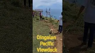 Pacific Viewdeck