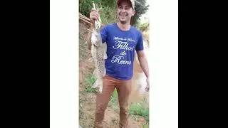 olha que peixe 🎏 bonito pintado