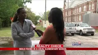 How Much Is Too Much Mold In Our Schools?