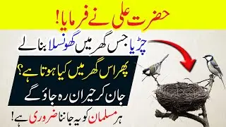 Jis Ghar main Ager Chidiya Ghonsla Bna le | Hazrat Ali R.A ne us Ghar main Kya hota hai? Birds Facts