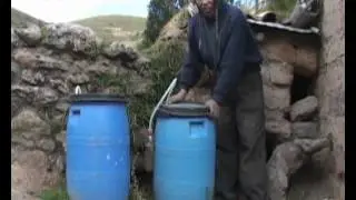 02 PRODUCCIÓN DE BIOL