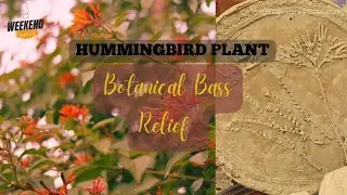 Botanical Bass Relief #hummingbird #plant. #botanical #basrelief #handmade #ecofriendly #clayart
