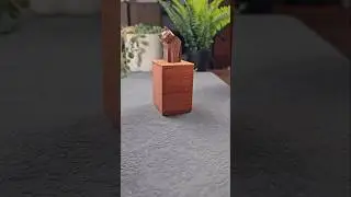 What is the cat looking at?!! #puzzle #puzzlebox #cat #brainteaser