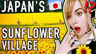 Visiting Hokkaido's HIDDEN Sunflower Village!