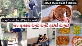 මං ආසම වැඩ වැඩි දවසට😍 /My Productivity day in Life❤ #vlog