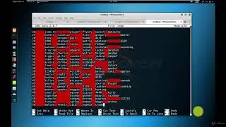 Kali Linux Database Hacking