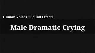 Male Dramatic Crying / Sound Effect