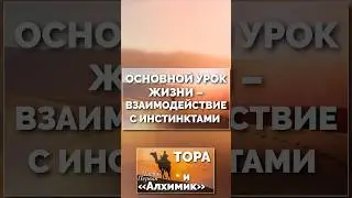 Основной урок жизни &mdash; взаимодействие с инстинктами