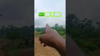 🌾 Low Cost Agricultural Land for Sale in Odisha 🌾