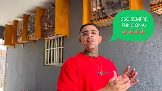 🔥COMO FAZER UMA PAREIA DE SIBITE DE CANTO E FIBRA! 🔥( sibites e cia )