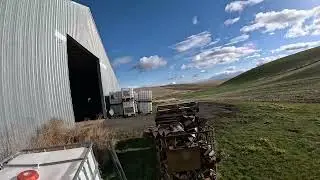Pigeon Patrol