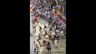 Segunda Entrada de Toros y Caballos de Segorbe 2025 (Martes 9 de septiembre)