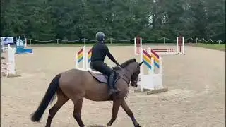 Bicton Arena Showjumping 17.02.22