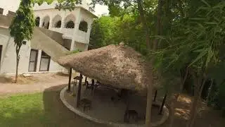 Panna Tiger Resort Aug 2023
