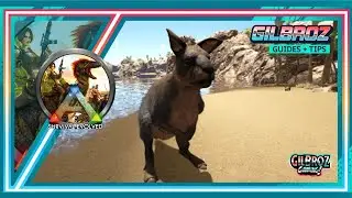 Why? How? To Tame the Procoptodon -Dude's Taming Ranch - Ark Survival Evolved