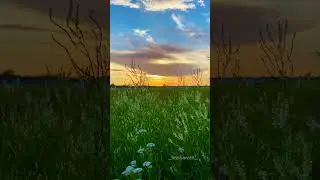 Beautiful sunset #edm #music #remix #dubstep #nature #india #shortvideos #monsoon #ronaldo #shorts