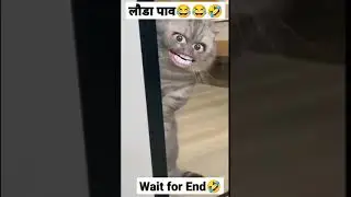 loda pav bagar billa funny short #viral #shorts #bagarbilla
