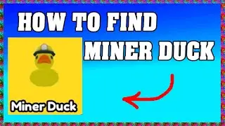 HOW TO FIND MINER DUCK in FIND THE DUCKS ROBLOX ! 🦆