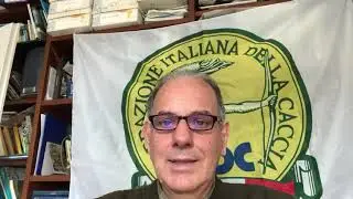 NUOVO RAPPORTO ARTICOLO 12 SUGLI UCCELLI SELVATICI: FACE ANALIZZA LE SPECIE CACCIABILI