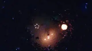 Full Moon Drum Circle Miami FromWhereISea!!!