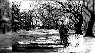 music to listen to while taking an evening stroll