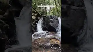 Netravati River has its origins at Kudremukh in Chikkamagaluru