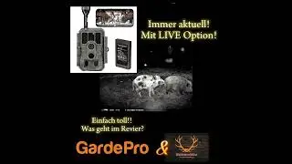 GardePro Video - Kameras im Einsatz  #wildkamera #revier #wildtiere #jagdschule #gardepro