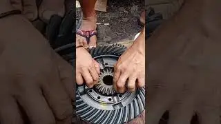 spider gear #mechanic #shorts #mekaniko #gear