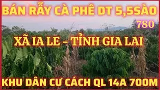 BÁN LÔ CÀ PHÊ DT 5,5SÀO NGAY KHU DÂN CƯ CÁCH QL 14A 700M, ÔM ĐƯỜNG ĐẤT 33M SAU ÔM SUỐI GIÁ 150TR/SÀO
