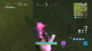 Fortnite Renegade Roller Pickaxe Glitch