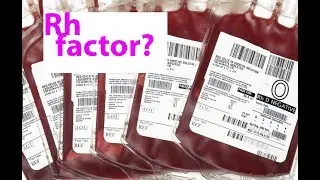 Pregnancy and Rh Negative Blood Type.