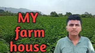 MY farm house 🏠 MY farm house blog