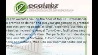 Affordable SEO Company SEO Service Destin Florida - Ecolabz