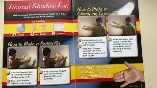 Animal Shadow Fun - curriculum story 3/31