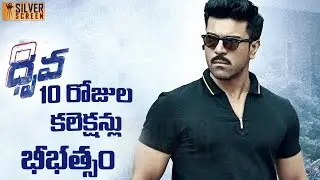 Dhruva Movie 10 Days Box Office Collections Report | Ramcharan , RakulPreet Singh