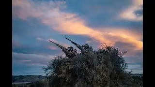 Nelson Marlborough game bird hunters helping food banks and falcons.