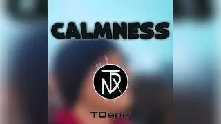 TDenix - Calmness (Official Audio)