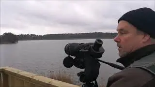 Julkort fr&aring;n Hosj&ouml;n
