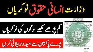 Human Rights Jobs | Human Rights Job Vacancy | Govt Job Vacancy | Ministry of Human Rights Careers