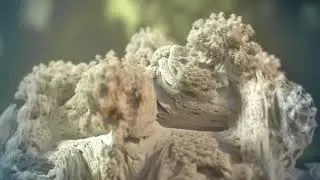 Cgi Vfx Demo Hd: &laquo;250 000 000 Частиц Mandelbulb Render С Использованием Arnold 4.0&raquo; By - Juanjo Gon