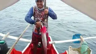 Napaka-effective talaga ng pamain na to pang tanigue | Tanigue hunting | Ernie Official