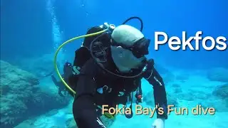 Pefkos, Rhodes, Shore Dive